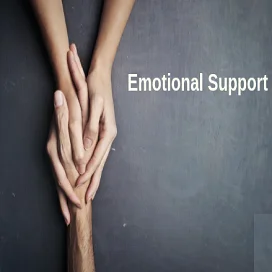 emotional support 1